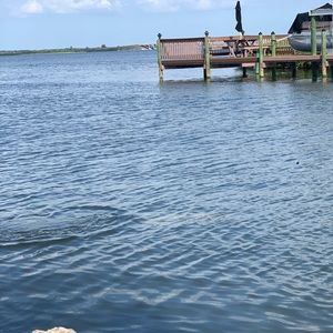 Meet your Posher, Dina